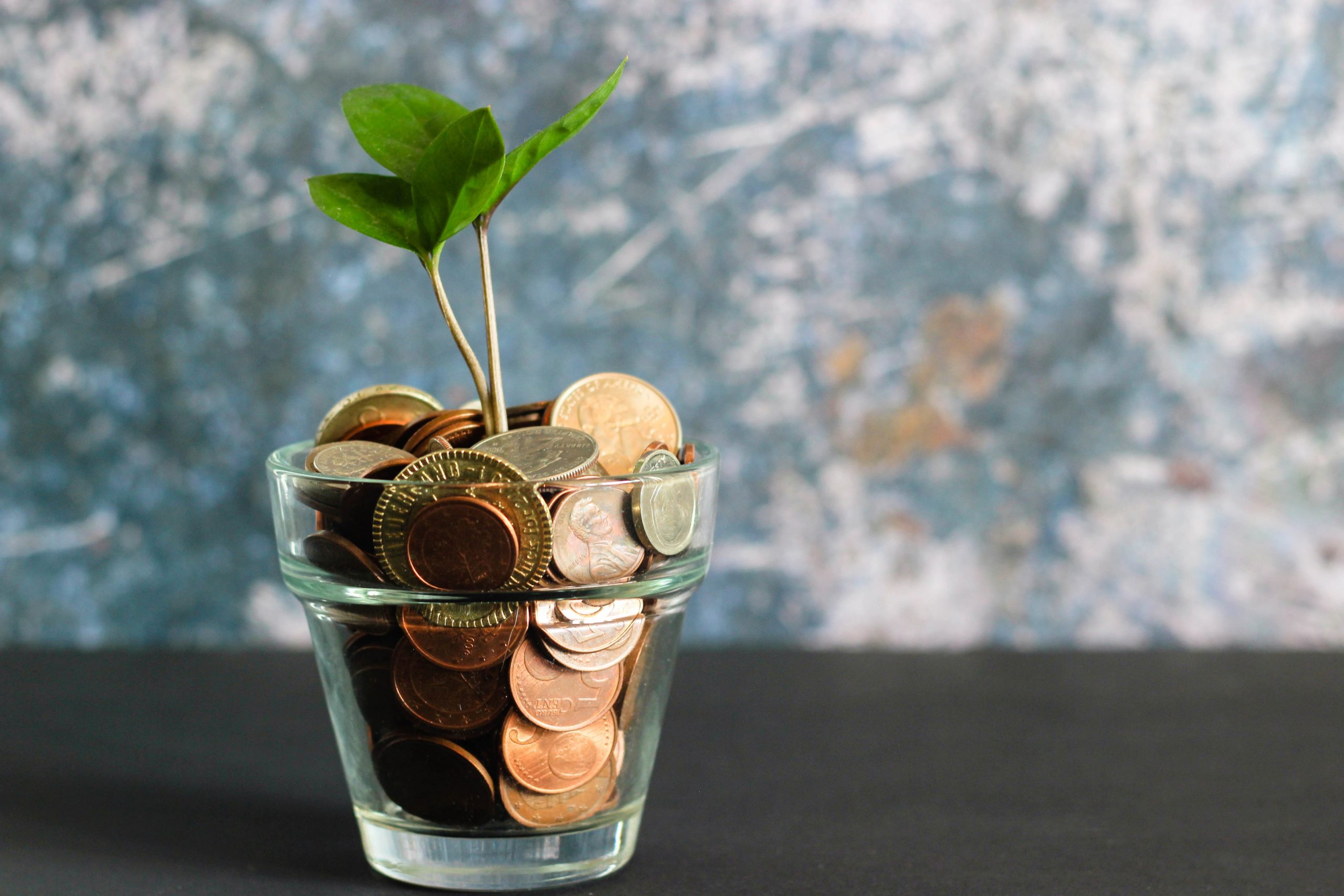 coins in a glass with plant coming out of the top