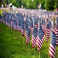 rows of american flags